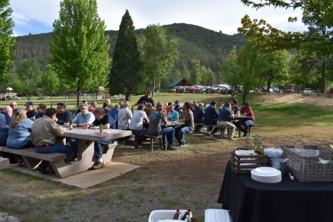 A group of people sit at picnic tables in a park.